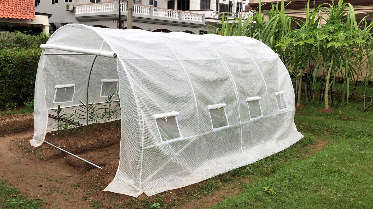 Litgrow Walk in Greenhouse - Plant Grow Tents Steel Frame Garden Backyard Outdoor Gardening aHouse with Doors(Steel Shelf+ PE White Cover.  Pipe Diameter 25mm) PE Cover +Sheel Frame